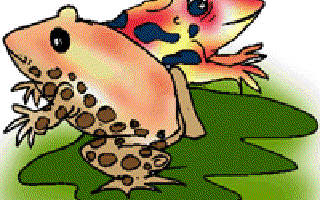 Why are Some Reptiles Brightly Coloured?