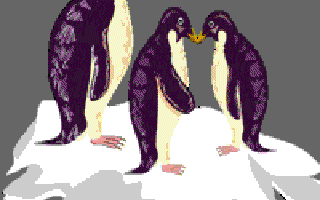 Where Do Penguins Live?