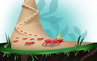 Why do Ants walk in a Line?