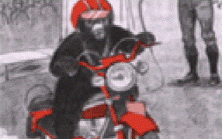 The Tale of a Circus Bear