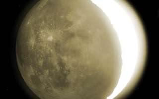 The Earth Is Getting dimmer