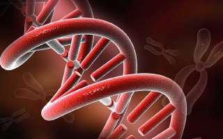 What is the Software for Life?