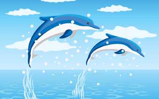 Do Whales and Dolphins see Blue?