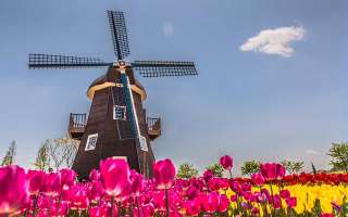 What is the Secret of the Windmill?