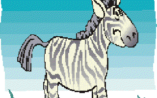 The Emperor and the Zebra