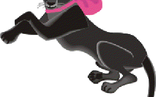 The Emperor and Chitranjan Cheetah