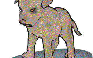 How Man and Dog Became Friends