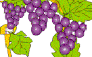 The Fox and the Grapes