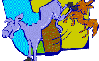 The Donkey monkeys Around