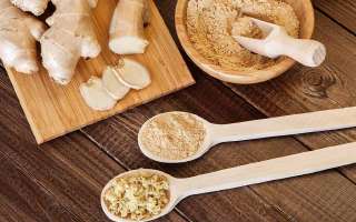 Ginger, the New Wonder Medicine