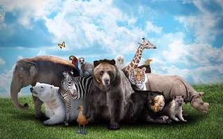 It's a Zoo Out There!