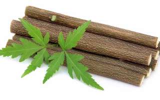 What Toothpaste did the Ancients Use?