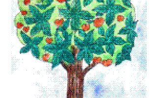 Trees of Delhi – Under the Axe!