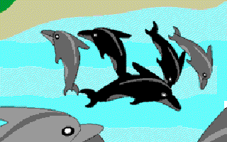 A safety net for cheetahs, vultures, dolphins