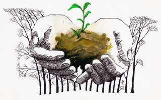 Don't Throw the Seeds Away...