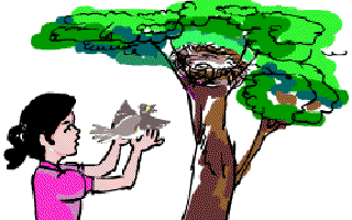 If I Can Stop One Heart from Breaking