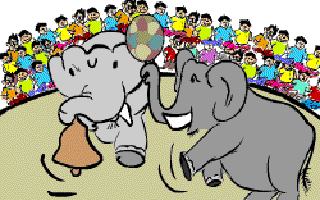 The Wonder Elephants