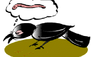 The Crow’s Lunch