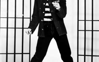 Elvis Presley: The King of Rock and Roll