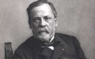 Louis Pasteur: The man who discovered vaccination