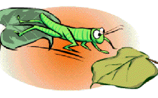 Preparing for Winter