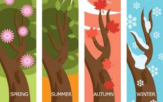 Seasons