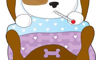 Why do Dogs and Cats Eat Grass?