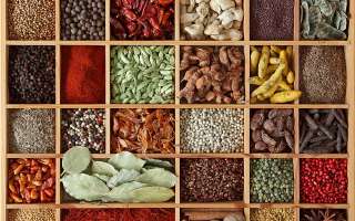 Hungry in the land of plenty