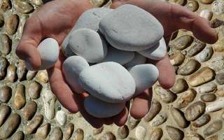 Champion of a 2300-year-old game