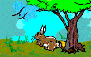 Golu Rabbit's Day Out