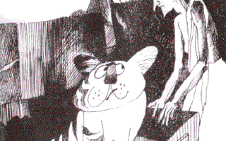 It All Began with Drip Drip