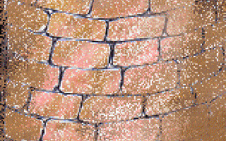 The Man who Saved the Moon