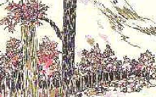 Excerpts from 'A Parcel for the Postmaster'