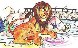 Lion On The Loose!...!...