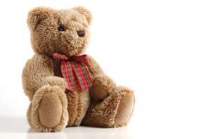 How did the Teddy Bear Get Its Name?