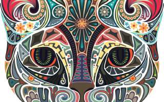 The Cat and the Cartoon