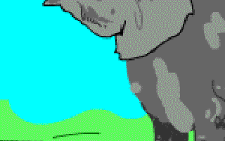 The Elephants who Showed Off