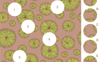 Flowers – A Visual Matching Puzzle