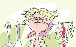 Why do Onions Make us Cry?