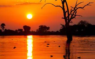 Why's the Sun Red during Sunrise and Sunset?